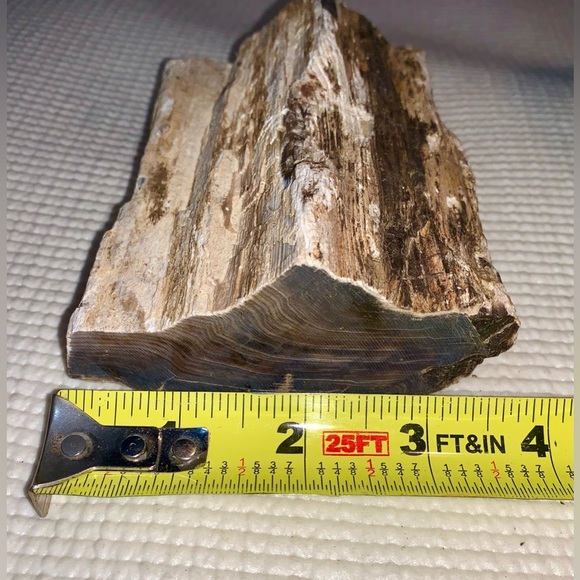 Petrified Wood Chunk almost 2 pounds! - Picture 5 of 8